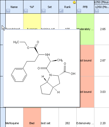 Spreadsheet Hint.png